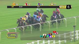 Vidéo de la course PMU SPALATO 2014 STAKES