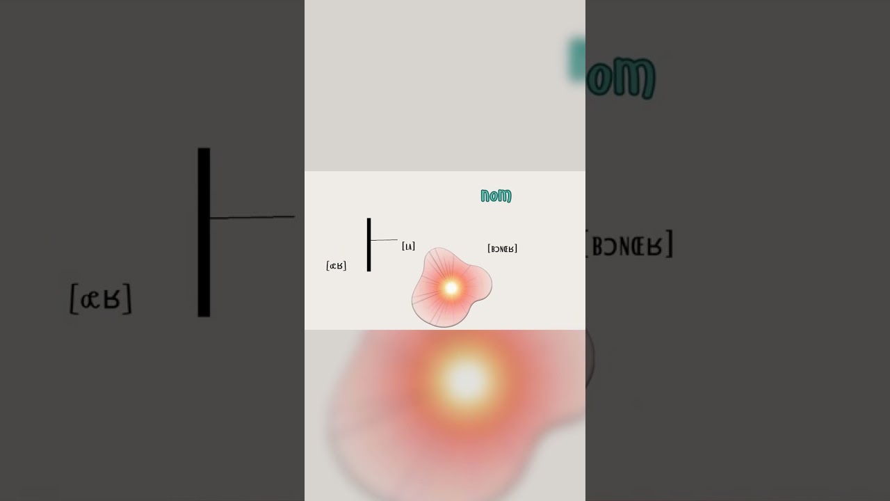 Saveur, douceur, splendeur: R&eacute;p&eacute;tez!