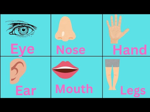 Parts of a body |Let's learn about parts of a body |English |Kids - YouTube