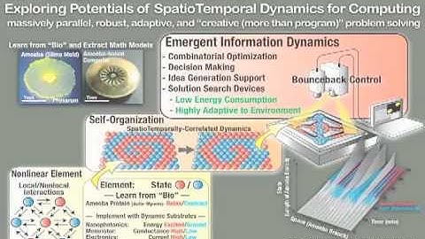Amoeba NeuroComputing (Part 3) [True Slime Mold Physarum]