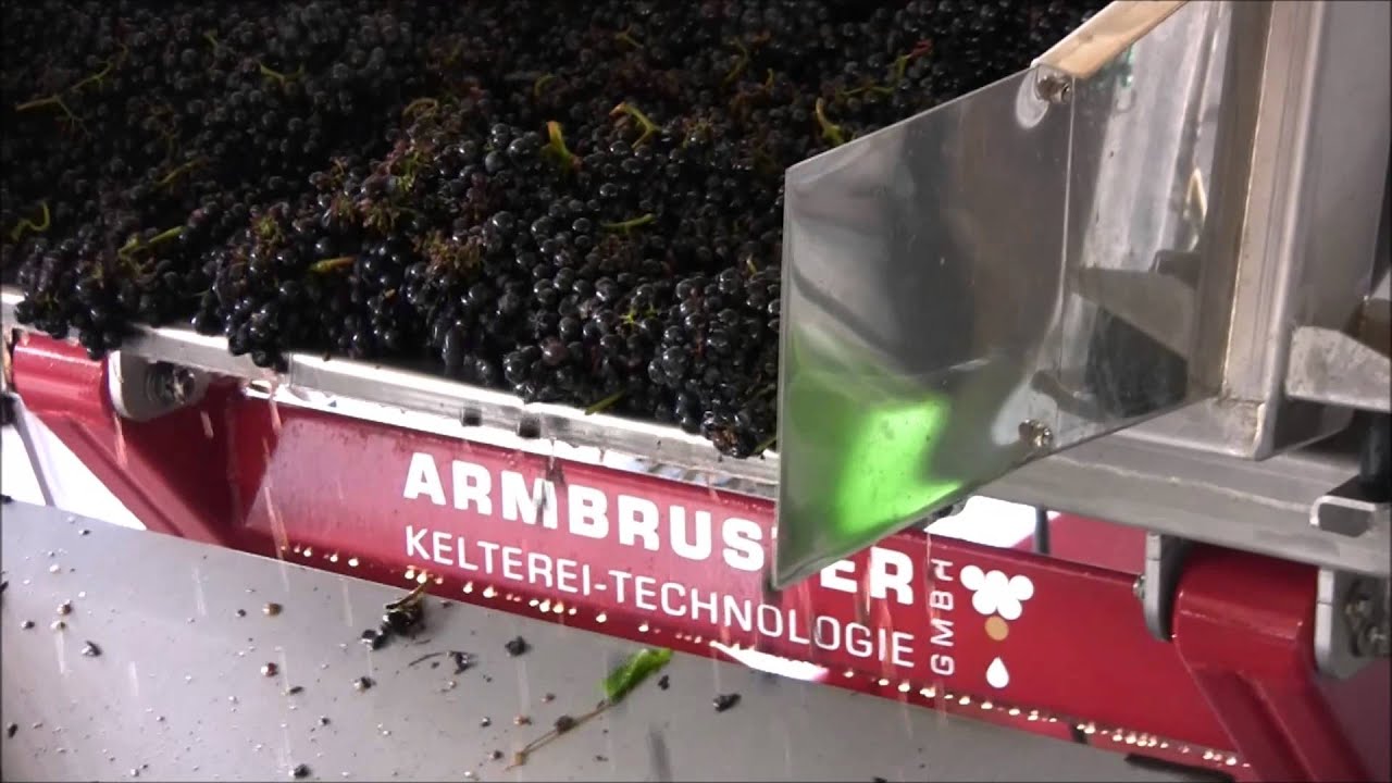 ARMBRUSTER Traubenwagen