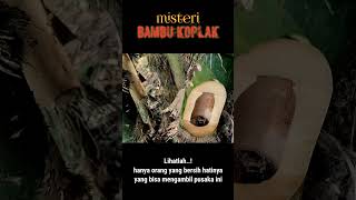 jimat bambu angker bikin merinding
