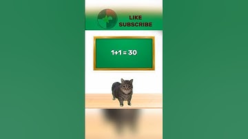 Thumbnail of POV : Akmal nyanyi depan kelas 🗿😺 #meow #kucing #akmal #memes
