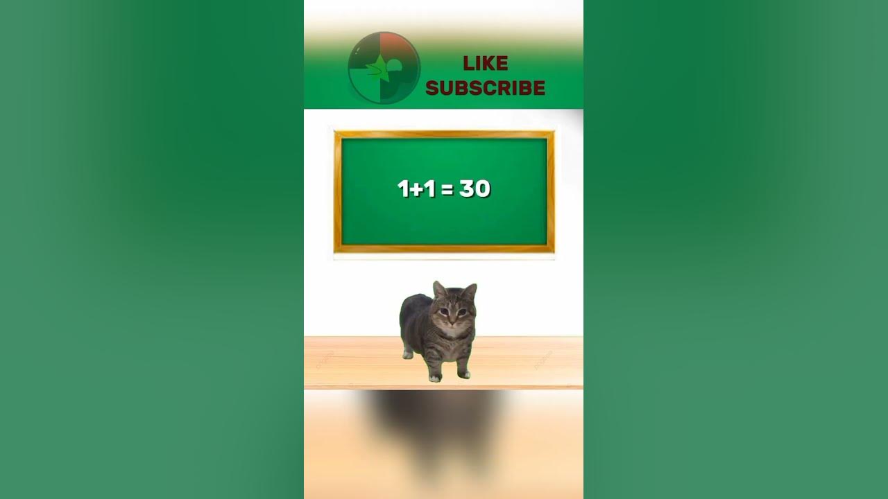 POV : Akmal nyanyi depan kelas 🗿😺 #meow #kucing #akmal #memes POV : Akmal nyanyi depan kelas 🗿😺 #meow #kucing #akmal #memes