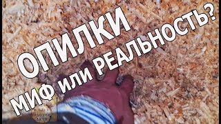 видео: Эконом и Качество для Потолка в БАНЕ. Чем Утеплить ПОЛОК в БАНЕ? Разбираемся на МЕСТЕ) ОПИЛКИ не МИФ картинка: Эконом и Качество для Потолка в БАНЕ. Чем Утеплить ПОЛОК в БАНЕ? Разбираемся на МЕСТЕ) ОПИЛКИ не МИФ