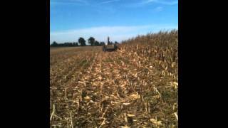 2011 Picking Corn