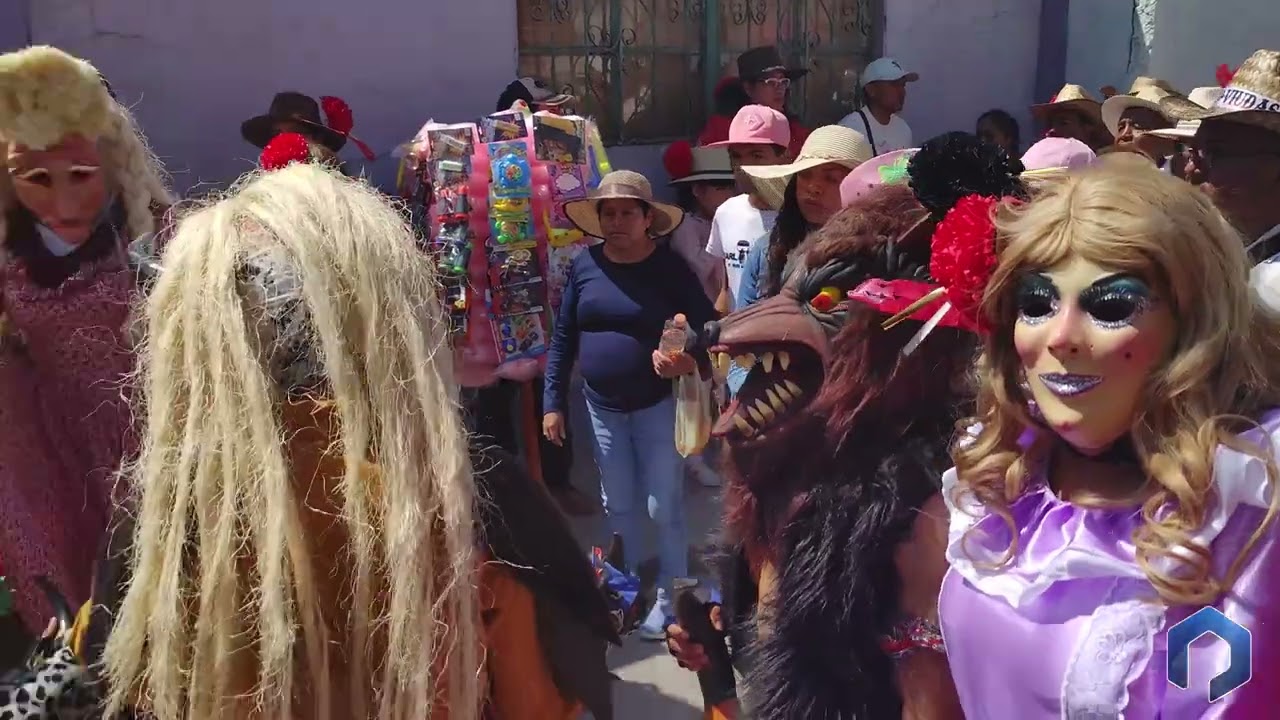 El Toro - Organización 