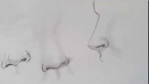 How to draw a realistic nose