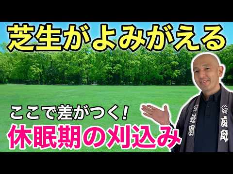 🎉 12,000 views [1-2cm height and thatch removal] Allow sunlight