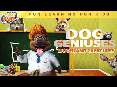 Dog Geniuses: Woodland Creatures - Trailer | Jo Davis, KJ Schrock, Simon Hill, Charles Nu