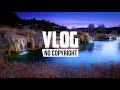 Xad   Birds Vlog No Copyright Music