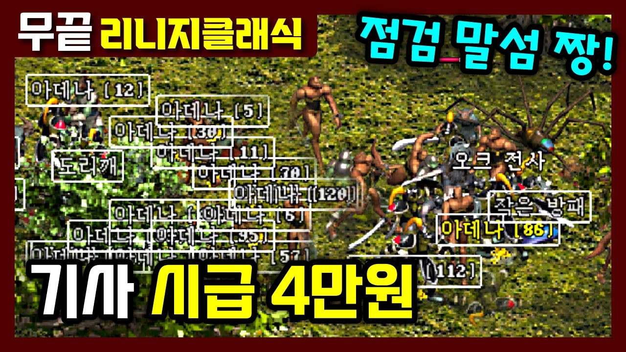 [리니지클래식] 무자본 기사 시급 4만원 사냥터😘 ㅡ 셀로브는 살려둡시다! ㅡ 점검 직후 2시간이 피크😊 (개체수가 더 늘은듯⁉ ...