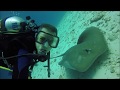 Bandos (Maldives) underwater highlights