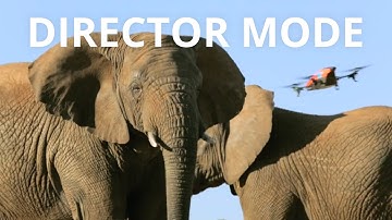 Director Mode: Film like a pro!