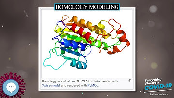 Homology modeling 🧫👩🏾‍⚕‍🤒 Everything Viruses & COVID-19 🤒👩‍⚕‍🧫
