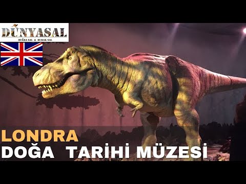 Video: Londra, Doğa Tarihi Müzesi - Dünyadaki yaşamın tarihi