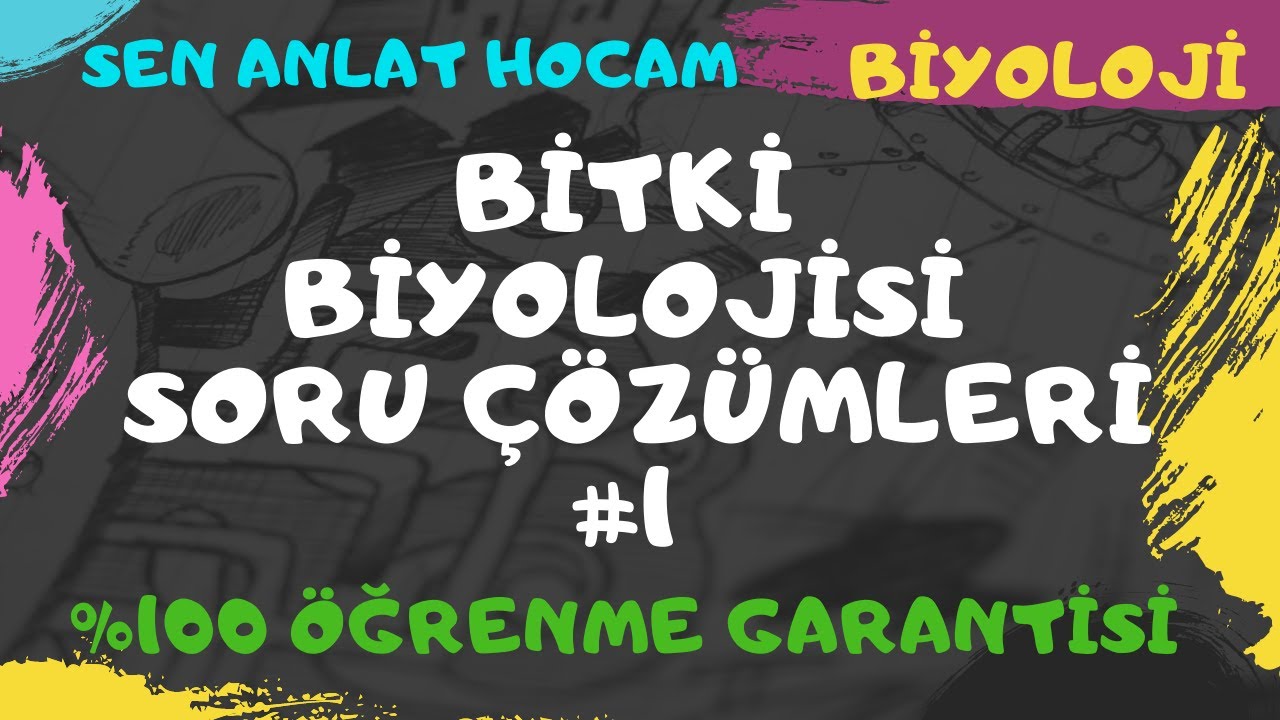 BİTKİ BİYOLOJİSİ SORU ÇÖZÜMLERİ 1 | AYT BİYOLOJİ | ✅