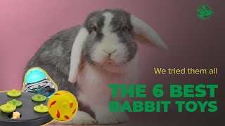 The 6 Best Rabbit Toys (We tested them all) by We're All About Pets 16,114 views 3 years ago 9 minutes, 3 seconds