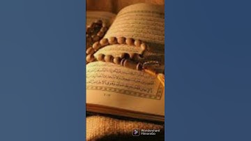 القران سورة القدر #قرآن