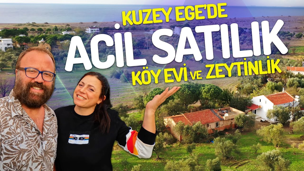 Komşumuzdan SATILIK KÖY EVİ VE ZEYTİNLİK: İş Kurmak İçin Satıyor!