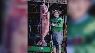 Festus fisherman scores world record carp in the Mississippi River