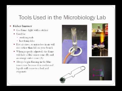 Pre Lab Lecture Aseptic Technique - YouTube