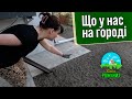 Що там у нас на городі | ВЛОГ