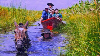 Safari Fotográfico En Los Esteros Del Iberá