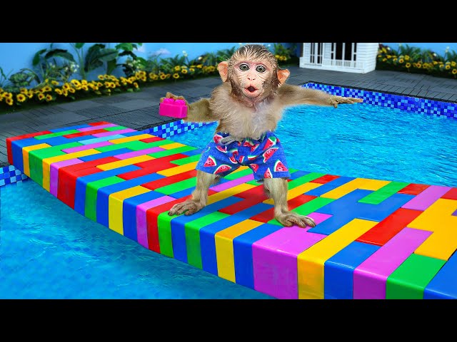 KiKi Monkey experience Building Block Lego Bridge across the Swimming Pool | KUDO ANIMAL KIKI class=