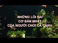 Nhng sai lm c bn nht v cch nui c cnh s khin n c ca bn cht dn cht mn