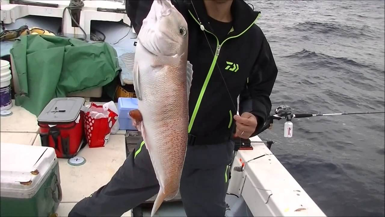 アマダイ 甘鯛 仕掛けの作り方と釣り方ご紹介 釣れるポイントはこれだ 暮らし の