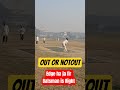 Umpire Decision #trendingshorts #ytshorts #cricketlover #cricketmatch #cricketupdates #shorts