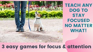 3 Easy Engagement Games for Building Focus & Attention | Dog Training Tutorial by Pup to Perfection 7,337 views 3 years ago 5 minutes, 9 seconds