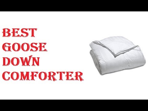 Best Goose Down Comforter 2021