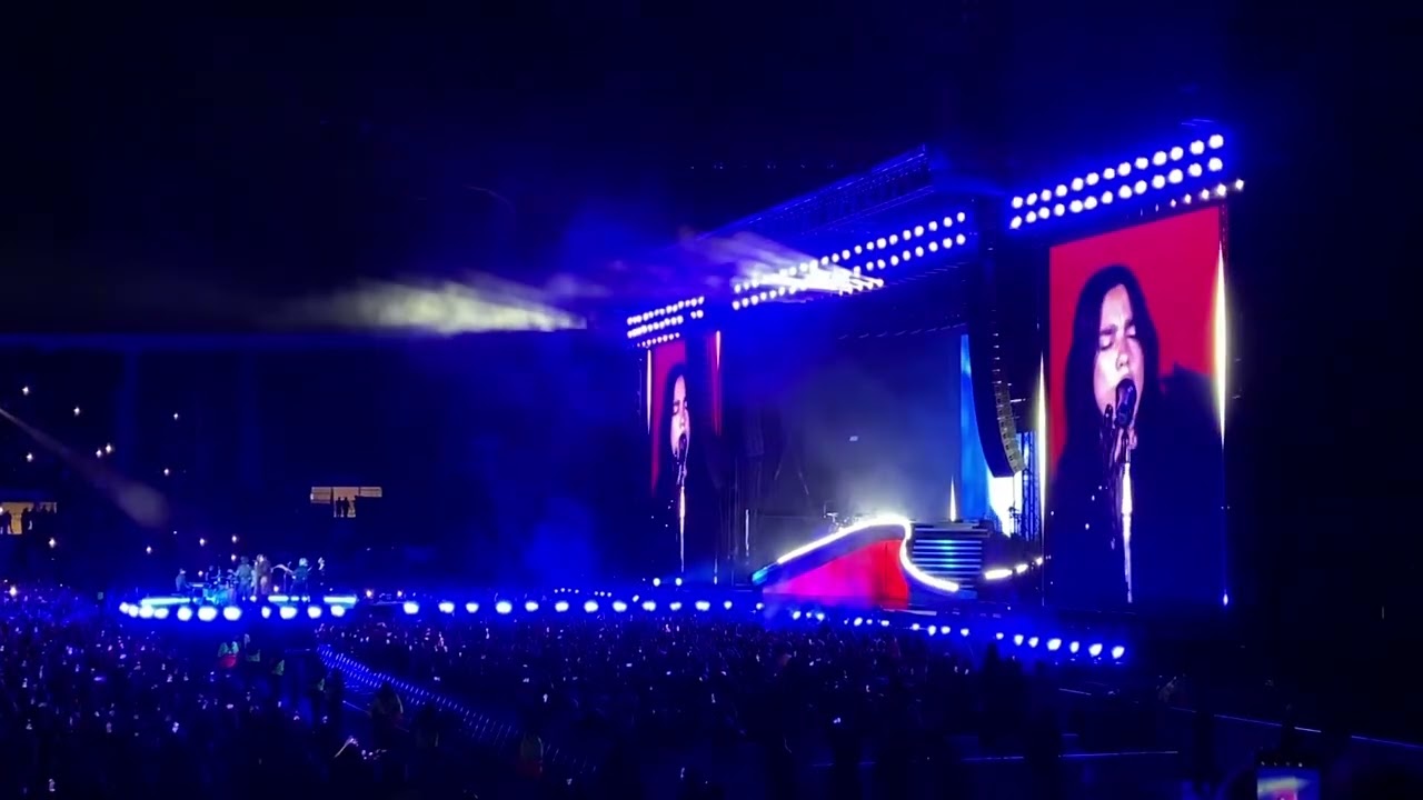 Dua Lipa - El Duelo (Cover La Ley)