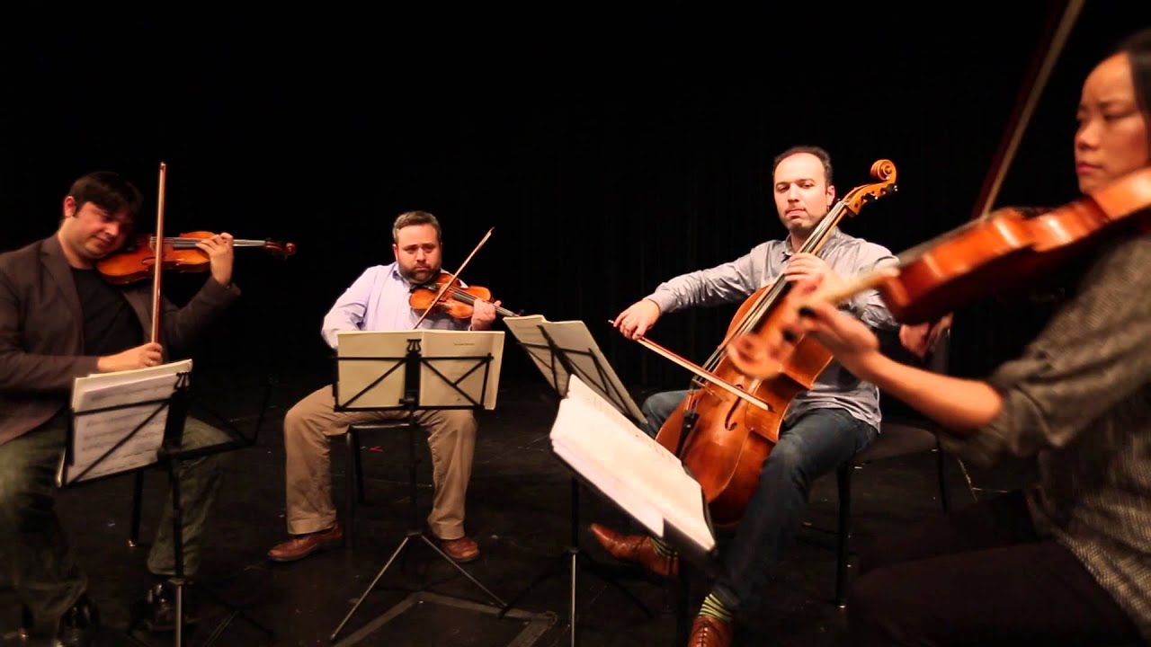 Meet the Hausmann Quartet