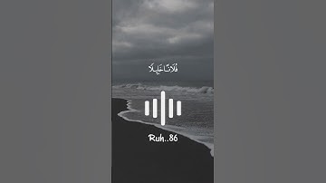 قرآن كريم🍁 حالات واتس اب🍁 - بصوت القارئ فارس عباد🎙