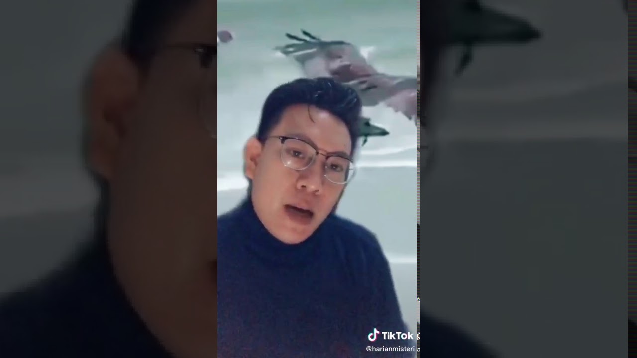 elang raksasa - YouTube