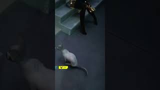 Amazin #cyberpunk #4k #60fpsgameplay #cp77 #60fps #cyberpunk2077gameplay #dlss4 #fps #cyberpunk2077