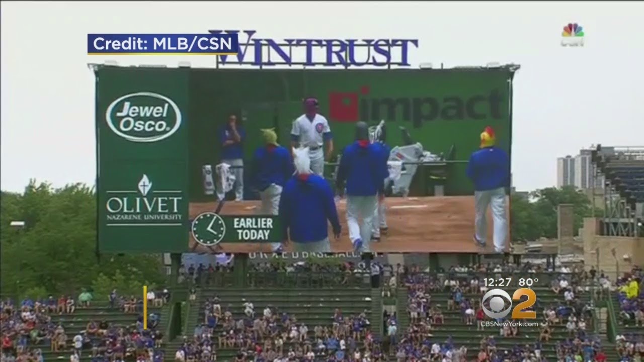 Baseball Rain Delay Sparks CubsDiamondbacks Variety Show YouTube