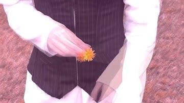 Glazyhaze - Saltless (Official Video)