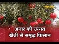 Khet Khalihaan - अनार की उन्नत खेती से समृद्ध किसान