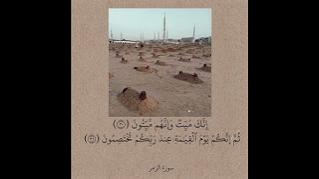 ماهر المعيقلي - سورة الزمر