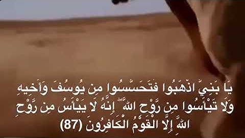 نبيل الصالح / مقتطفات من القرآن الكريم ً