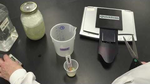 EnviroLogix GMO soy test