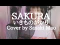 SAKURA/いきものがかり