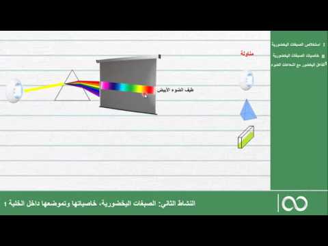 اولى باكالوريا علوم الحياة و الارض |  الحصة 10| خاصيات الصبغات اليخضورية