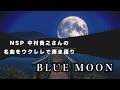 Blue Moon (NSP cover)　サトウアキヒロ (弾き語りリクエストより)
