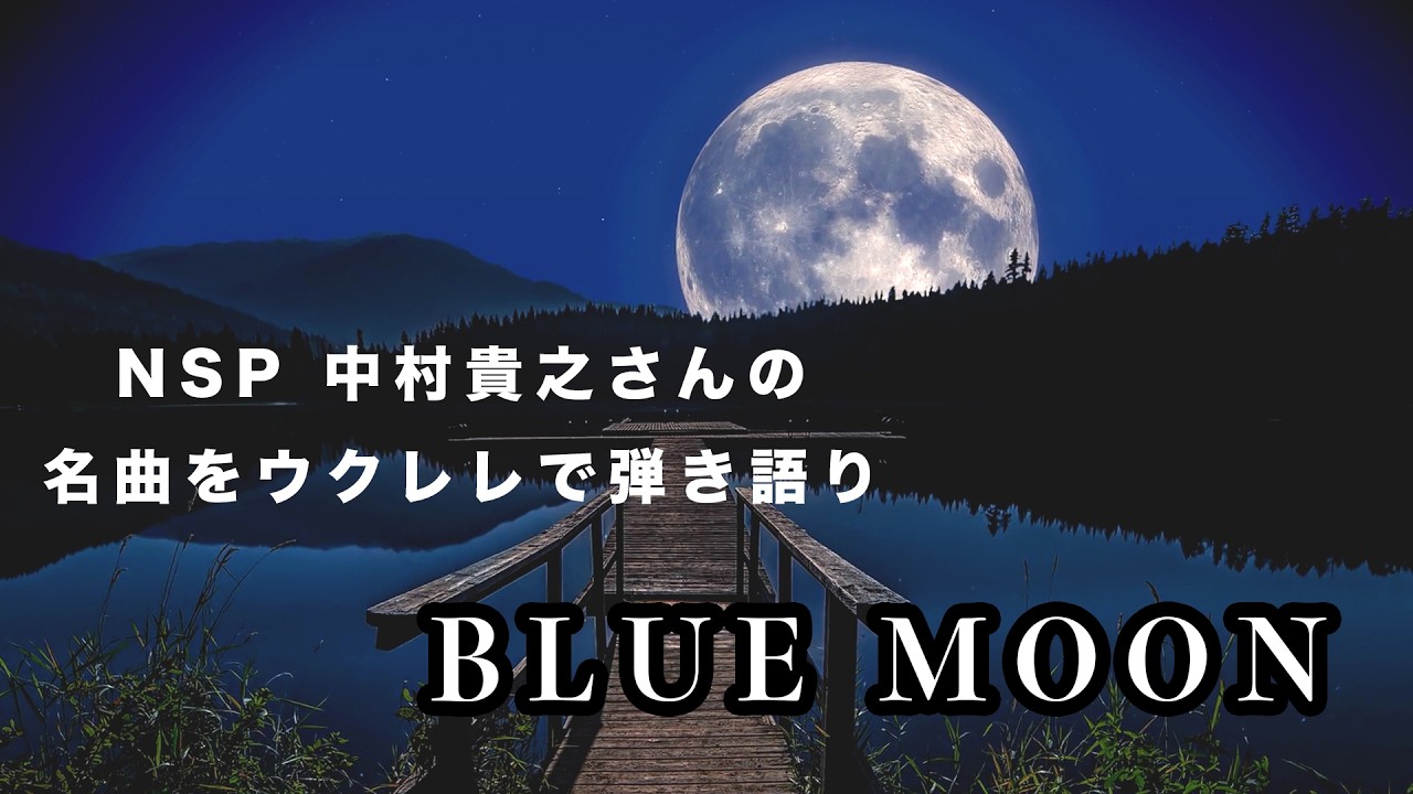 Blue Moon (NSP cover)　サトウアキヒロ (弾き語りリクエストより)