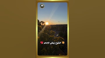 🎤 تلاوة تأخذك إلى بُعد آخر 💖 صوت يُحلق بك في سماء الإيمان 📖🔥 #قرأن #المصحف #المصحف